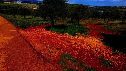 #رمضان #كريم شو فطوركم اليوم؟؟ 