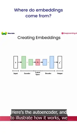 Our course “Vector Databases: from Embeddings to Applications” will guide you through how vector databases work and how they're reshaping how we handle data. After taking this course, you’ll be able to make informed decisions about when to apply vector databases to your applications. Check it out at deeplearning.ai.  #AI  #vectordatabases  #AIapps  #fyp  #artificialintelligence #datasciencetok #weaviate #embeddings