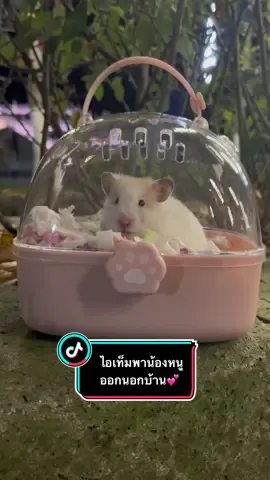ไอเท็มพาเจ้าตัวน้อยออกมาเล่นนอกบ้าน #หนูแฮมสเตอร์ #กรงแฮมเตอร์ #กรงพกพาสัตว์เลี้ยง #ของดีบอกต่อ #tiktokshop #ราคาถูก #ร้านสัตว์เลี้ยง  
