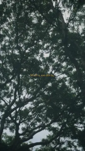 Một ngàn lời nói cũng không bằng một lần gặp gỡ..  #run02 