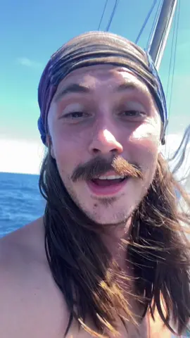 Hanging out with dolphins is one of my favorite parts of being offshore #sailing #dolphins 