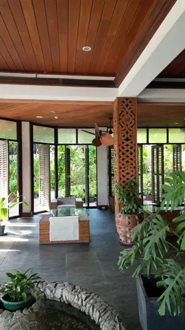 Jacana Amazon Wellness Resort For more information call us on (+597) 531000 ext 0 | Whatsapp 878-3714 or email frontoffice@jacanaresort.com | www.jacanaresort.com 📷Jacana Amazon Wellness Resort, Commewijnestraat 35 #wellness #resort #Jacana #Amazon