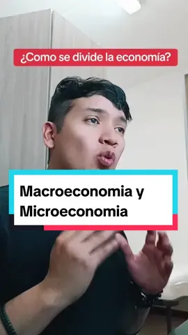 Como se divide la economía, Cuáles son las ramas de la economía, La economía se divide en microeconomia y macroeconomia #economia  #macroeconomia  #microeconomia #
