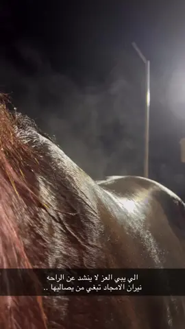 #ورد#مربط بيارق عسير#خيل #خيل_وخياله🐎 #حصان #حصان_عربي #خيل_عربي_اصيل #تشغيل #سباقات_الخيل #سباق #رمضان #رمضان_يجمعنا #رمضان #حصان_عربي_أصيل #حصان #الشعب_الصيني_ماله_حل😂😂 #اكسبلور #اكسبلورexplore #q #p #y #b #n #m #z #d #j #ح #خ #شعب_الصيني_ماله_حل😂😂 #ك 