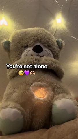 #breathingteddy #breathingotter #fyp 