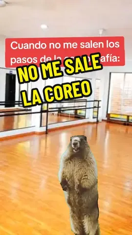 🩰😫ES QUE ME ESTRESAAAAAAAAAA LAPTM JAJAJA #fanndebourree #danza  #dance #memedanza #jajaja  #bailarines #Meme #memecut  #CapCut 