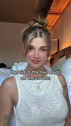 The dogs winning for sure 