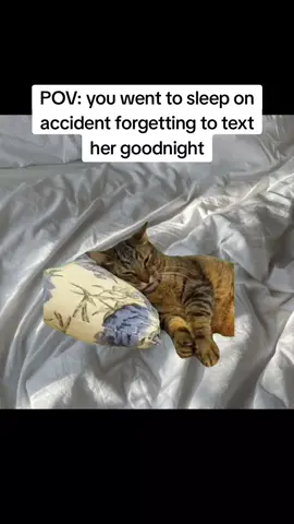 who can relate? 😂 #fyp #car #Meme #ilovemygf #cat #Relationship #relationshipgoals #couplegoals 