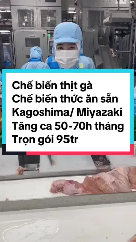 Chế biến thịt gà, thức ăn sẵn Kagoshima/ Miyazaki Tăng ca 50-70h tháng Trọn gói 95tr #hashtag #master2024bytiktok #LearnOnTikTok #xuhuong #xkldnhatban #xuatkhaulaodongnhatban #nhatban #japan #xuhuong 