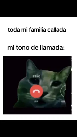 #parati #tiktoknomedejesenfloop #pourtoi #fyp #fypシ #papulandia 