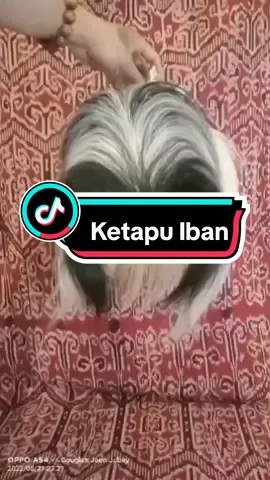 Nunda stail sida aki kelia.. #PakaianTradisionalIban #NgepanIban #GagongIban #OrangIban #ketapuIban #LabongIban #Fypp #OrangSarawak #Sarawak #BorneoSarawak #ibansarawak #fypシ゚viral #ibansarawakkalimantan #DayakIbanKalimantan #PengidupRumahPanjai 