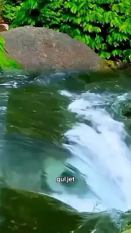 #биртууган #биртууганым♥️♥️♥️ #бирбоорум #рек #рекирекомендации 