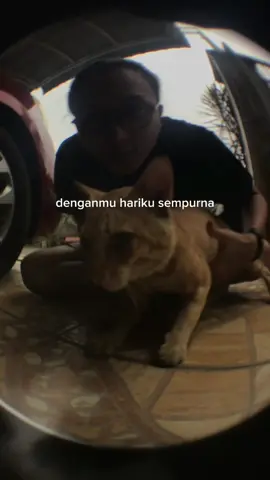 kau lukis aku bersama kucing oyen