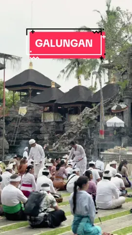 Galungan banyak touris asing login ke tempat suci hindu bali (pura) dengan berdoa sesuai kepercayaan dengan menggunakan serana bali dan di pandu oleh orang bali #galungan #ubud 