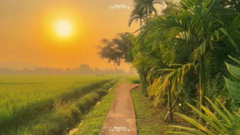 🌅 ...Tui đi qua cánh đồng thoảng hương mùi đồng nội. Nghe lúa xanh rì rào, nghe chim gọi hoàng hôn.  Mặt trời lướt nhẹ trên từng ngọn cây cao và đuổi theo Tui. Đó là điều kỳ diệu mà khi ở chốn thanh bình này ta mới lại nhận ra và chợt mĩm cười vu vơ như thuở dại khờ. ... Khi mặt trời đi ngủ...Tui trở về nhà.🌿🌿