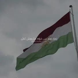 ☀️ | #kurdistan #redarkurda #kurd #kurdish #kurdi #kurdistanedit #کوردستان #کورد #kûrdî #azadî #kurdim #کوردی 