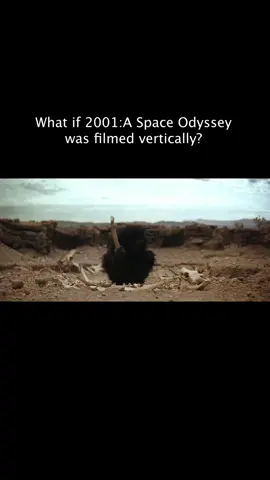 What if 2001: A Space Odyssey was filmed vertically? #stanleykubrick #hal #ai #photoshop #classicmovies 