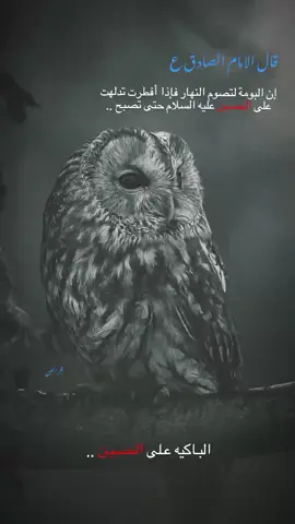 البـاكيه عـلى الحسيـن .. #البومه🦉 #ياحسين #غربه_كلهه_غربه  #حجر_العين 