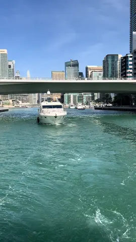 Amazing Dubai Marina ✨ #dubai #dubai🇦🇪 #dxb_official #marina #fyp #fouryou #fouryoupage #fouryoupage_tiktok_ #dubailove #dubailifestyle #viralvideo #dubaitiktok #frypgシ #dubailife #yacht 