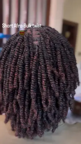 Short Afro-Bulk twist 😍😍 #naturalhair #twistout #hairstyle2024 