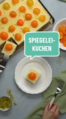 Spiegeleier zum Nachtisch? Der Spiegeleikuchen vom Blech ist der Hingucker an Ostern 🐰🥚🐣 🛒 Du brauchst: 👉 Rührteig: 250 g Butter, weich, 180 g Zucker, 1 Prise Salz, 5 Eier, 280 g Mehl, 3 TL Backpulver, 3 EL Milch 👉 Puddingcreme: 2 Päckchen Vanillepuddingpulver, 120 g Zucker, 1 Päckchen Vanillezucker, 800 ml Milch, 400 g Schmand 👉 Topping: 500 g Aprikosenhälften (a. d. Dose), 2 Päckchen Tortenguss, klar, 2 EL Zucker, 2 EL Pistazien #EinfachTasty #EinfachTastyRezept #Osterrezept #Osterkuchen #rührteig #Einfachbacken 