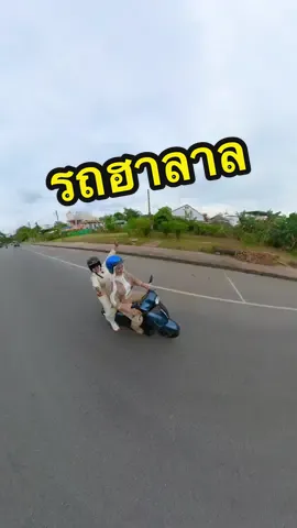 จับน้องสาวแต่งเป็นสาวมุสลิม ขับรถฮาลาล #แวรุงไปไหน #รถฮาลาล #grandfilano #ยะลา #แกรนด์ฟีลาโน่ #รถ #เที่ยว #เที่ยวยะลา #longervideos 