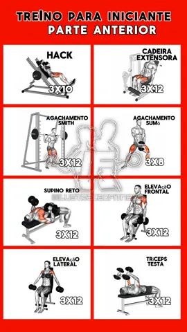 Treino Para Iniciantes, Parte Anterior. Faça esse treino e evolua sua performance nos treinos de iniciante.  #gym #musculação #ilustracaofitness #fyp #fypシ #musculacao #treinofullbody #workout #Fitness #gym #treinoiniciante #academia 