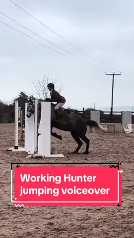 This is your sign to not be late to shows #equestrian #horsetok #equine #horsesoftiktok #equestrianlife #equestrianvibes #horseriding #horsetiktok #horsegirl #horsesontiktok #fyp 