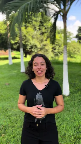 Há alegria na presença dos anjos de Deus por um pecador que se arrepende! #trendingvideo #videoviral #trendcriatã #jesus #cristaosnotiktok #biblia #sabedoria #evangelho #leitura #paisagem 