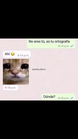 Que cabra cuando no escriben bien @Pale Parrot @Juan Camilo Baker  #momos #memes #fyp #fypシ #potaxie #jiafei 