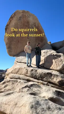 We actually had this conversation. Tag your other squirrel!  btw Andy wanted to name this video “We interviewed a squirrel and these were his thoughts…” Which is better? #hopecore #friendship #wholesome #wesanderson #cute 