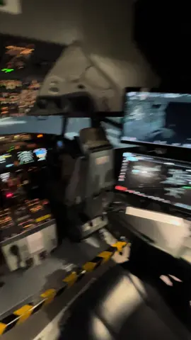 #737 #sim #pilot 