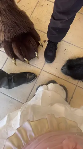 A la japan expo avec @Tanooki @☆ Teasharū ☆ @Iki fluffy✨❤️🫶🏼#furry#fursuit#dance#trends#fluffy#furryshadow.0#furryfandom#furryfriends#cute#furrybunny#furrylapin#japanexpo#japanexposud