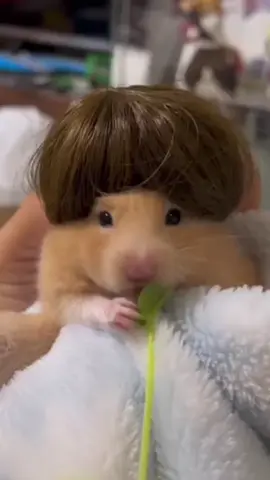 #القصيم #اويلاو #تمر_سكري #ه #😂 