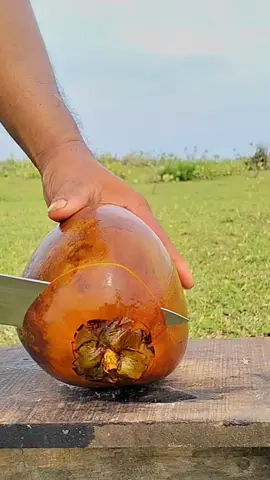 kelapa coklat ice segar tentunya #fyp #satisfying 
