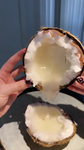 My newest obsession- macapuno coconuts! These are absolutely incredible! My friend Gray sent me one from South Florida to try! These coconuts are filled in the center with a gooey sticky liquid that is strangely so delicious.  Even the white part around the edges has a fatty texture. Though it wasn’t as sweet as other coconuts I’ve had the unique texture definitely made up for it! I let mine set in the fridge and chill before trying and it was truly an incredible experience 😍 #macapunococonut #rarefruit #fruittok
