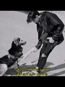 يرحون فدوه للجلب 🤦🏻#رحيم_المالكي #سمير_صبيح #اغاني #شعر_عراقي #وحيدمرادي #ستوريات 