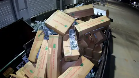 Merry Christmas!!! #dumpsterdiving #christmas #garland #fyp #mikethescavenger 