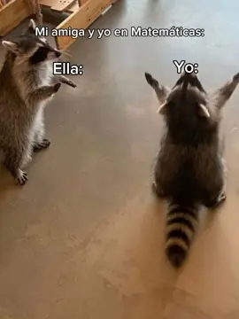 jajaj si 😅 #fypシ゚viral #matematicas #amigas #tiktokponmeenparati #Viral #humor #xD 