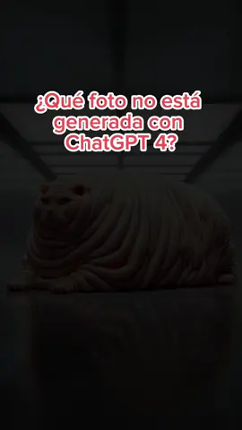 Por si te preguntabas con qué herramienta se generan este tipo de imágenes 🤔 #ia #inteligenciaartificial #chatgpt4  #gatos #mascotas #parati 