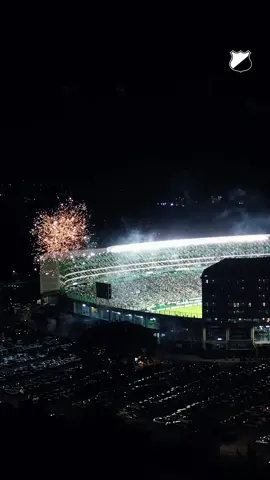 ¡𝐀𝐥 𝐞𝐪𝐮𝐢𝐩𝐨 𝐪𝐮𝐞 𝐭𝐢𝐞𝐧𝐞 𝐦𝐚́𝐬 𝐚𝐠𝐮𝐚𝐧𝐭𝐞! 💪 Deportivo Cali #1 en promedio de asistencia al estadio según Transfermarket.  ¡Por siempre gracias! 💚