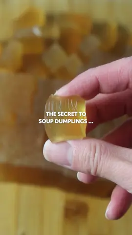 WANNA KNOW A SECRET? 🤫 The secret to soup dumplings … is GELATIN  You all loved my last soup dumpling video so here’s a more in depth one on the actual steps of making the jelly  INGREDIENTS (for the soup base jelly)  • 2 cups chicken broth  • Soy sauce  • Sesame oil  • Garlic powder  • 1/3 cup water  • 2 packs of gelatin (10g each) STEPS 1. In a pot, mix together chicken broth, soy sauce, same oil, garlic powder, water, and gelatin. Let it boil for a few minutes and once everything is combined together and the gelatin is dissolved, pour into a heat proof bowl and let it set in the fridge for 4+ hours (it should be a jello like consistency).  2. Make your favourite dumpling filling (for about 4 people, it makes about 40-60 wontons) and add your favourite sauces/spices (I used a mix of ground pork, wood ear mushrooms, and green onions).  3. Once the soup mixture is set, slice it up into small cubes and add it into the filling and mix it all together OR slice them into bigger cubes and add the filling onto the wonton wrapper and then add the jelly to the centre of the filling.  4. Steam for 8 minutes.  #easyrecipeideas #easymealideas #soupdumplings #dumplings #soupdumpling #soup #gelatin #soupbase #juicydumpling #juicydumplings #mealideas #confortfoods #wintermeals #cozymeals #cozyrecipes #recipeinspo #CookingHacks