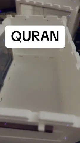 Quran Recitation💚💚 #fyp #quranpaak #quranrecitation #quran #quran_alkarim #tiktokusa🇺🇸 #islam 