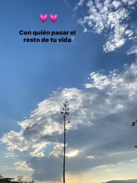 Alguien Que Solo Por Existir Ya Te Mejore El Dia🫶🏼🪐💗#etiquetalo #lafieradeojinaga #unamorbonito #parati #fyppppppppppppppppppppppp #viral_video #zxycba 