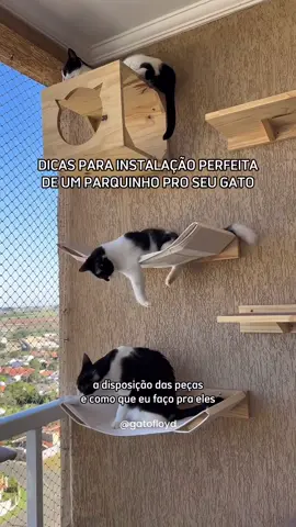 Seu gato tem parquinho? 😻 Confira algumas dicas para a instalação de um playground para gatos. 🐈  Por: @gatofloyd •───────────────────────• #arq_designer #arqdesigner #arqdesignermarketplace