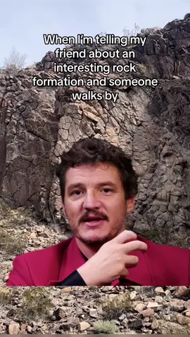 No one is safe from the rock talk #MemeCut #Meme #geology #rockcollection 