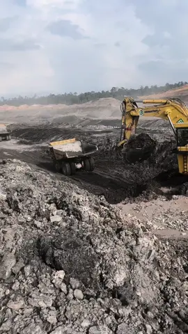 Dong pora to moass🫠 #ptpamapersadanusantara #pamapersadanusantara #storytambang #kulitambang 