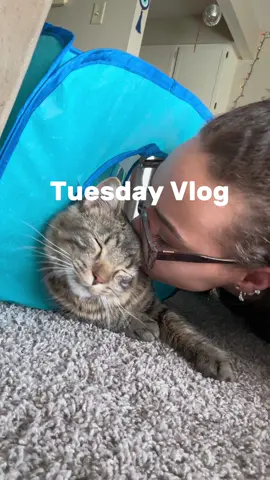 happy tuesday!! boy was the weather beautiful today!! so grateful i love days like this  #spendthedaywithme #tuesdayvibes #dailyvlog #grwm #blessed 