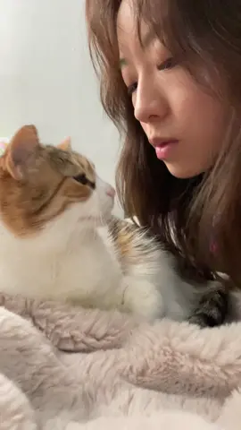 First things first: hugs and kisses xx #ritual #calico #catsoftiktok #pet #fyp #foryou