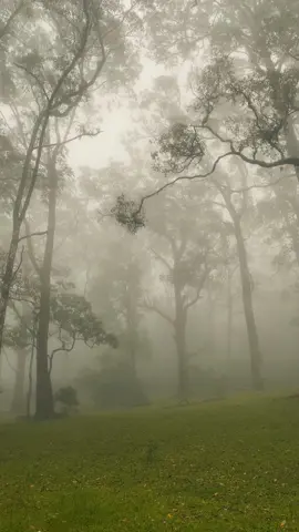 ademm 🥶 #fyp #nttpride🏝🔥 #kupangpunyadong🔥 #cagaralamgunungmutis #gunungmutis #viral #fatumnasi 